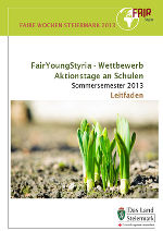 Leitfaden FairYoungStyria-Wettbewerb