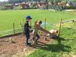 Die Kinder bauen eine Benjeshecke
 